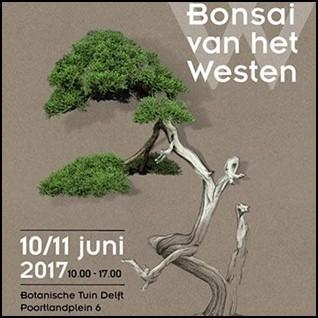 Ook kunt u meedoen aan een bonsaiworkshop onder begeleiding van Alex Straver, Edwin Koppers en Martin Bonvie.