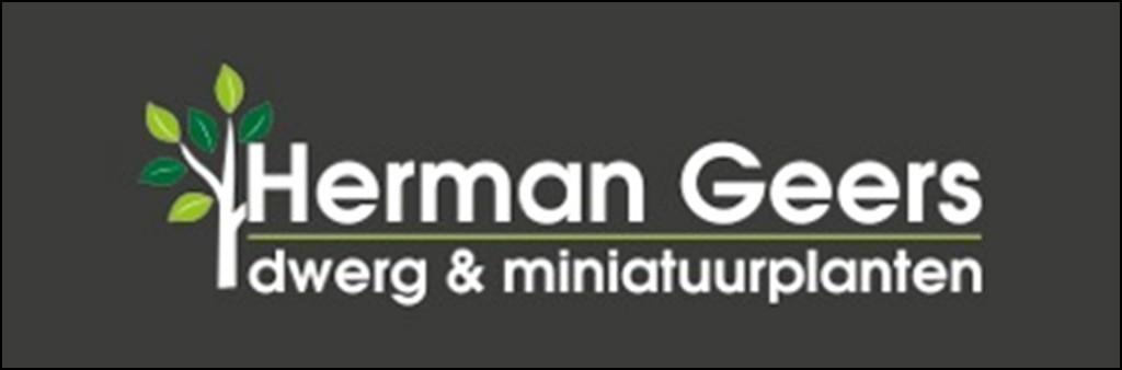 +- Herman Geers dwerg- en miniatuurplanten Wij zijn een kleine gespecialiseerde kwekerij, we kweken voornamelijk dwergconiferen en