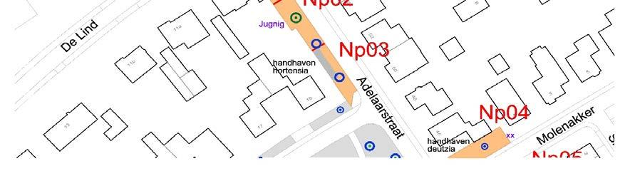 Locatienr Np01-Np03 ter van Adelaarstraat 50-60 Hier treft u de definitieve plantkeuze voor de beplanting voor uw plantvak