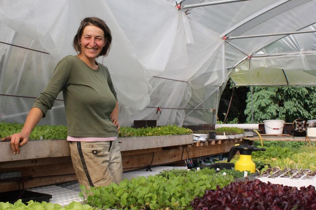 PUR VER - Klanten Testimonials Les Jardins du Sart Bio-Groenteteler in Poulseur 10 Gebruik : Zaaibakken gevuld met