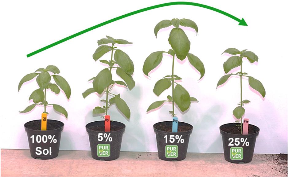 Doeltreffendheid van PUR VER - Agronomische