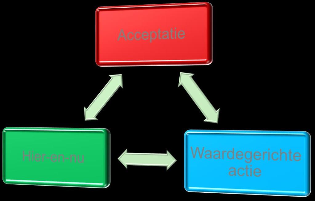 Acceptance & Commitment Therapy (ACT) de strijd loslaten met pijn, vermoeidheid, ongewenste gedachten en