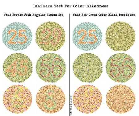 Les 4: Oogafwijkingen Kleurenblindheid Gehele of gedeeltelijke kleurenblindheid, ook wel daltonisme genoemd, is het niet volledig normaal waarnemen van kleuren.