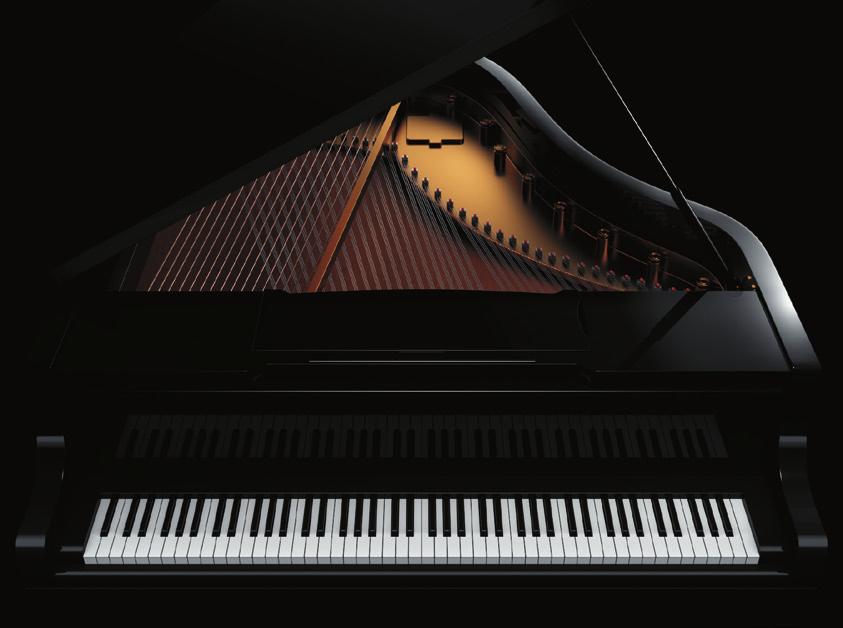 Onze unieke SuperNATURAL Piano Modeling-technologie is in staat om voor de eerste maal al die factoren onafhankelijk te controleren, waardoor een digitale piano nu écht klinkt en reageert zoals een