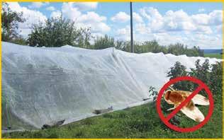 Insectennetten Onze hoogwaardige insectennetten van polyethyleen maken een zeer veelzijdige toepassing mogelijk: U beschermt uw gewas tegen een groot aantal gevaarlijke plagen, tegen wind en tegen