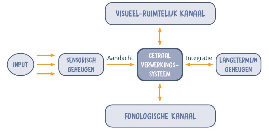 Werkgeheugen