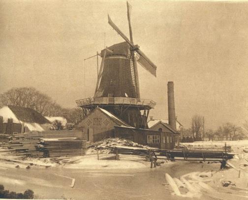 Op 22 februari 1867 verkreeg Wilte Evenhuis, die in de akte van de Gedeputeerde Staten van de provincie Groningen werd aangeduid als houthandelaar, vergunning voor het bouwen van een molen, die