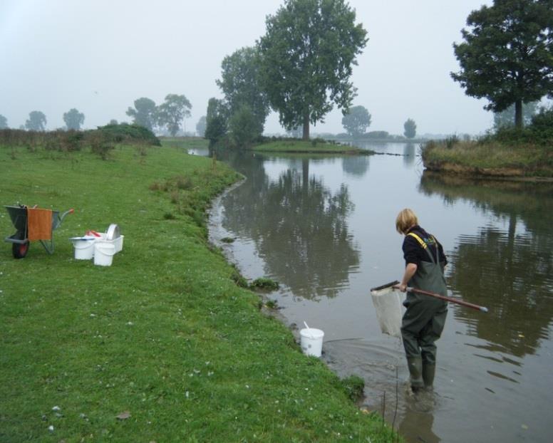 (2012), Evers et al. (2012) en Van der Molen et al. (2013). Deze drie rapporten vormen samen de basis van de uitwerking van de Kaderrichtlijn Water in Nederland.