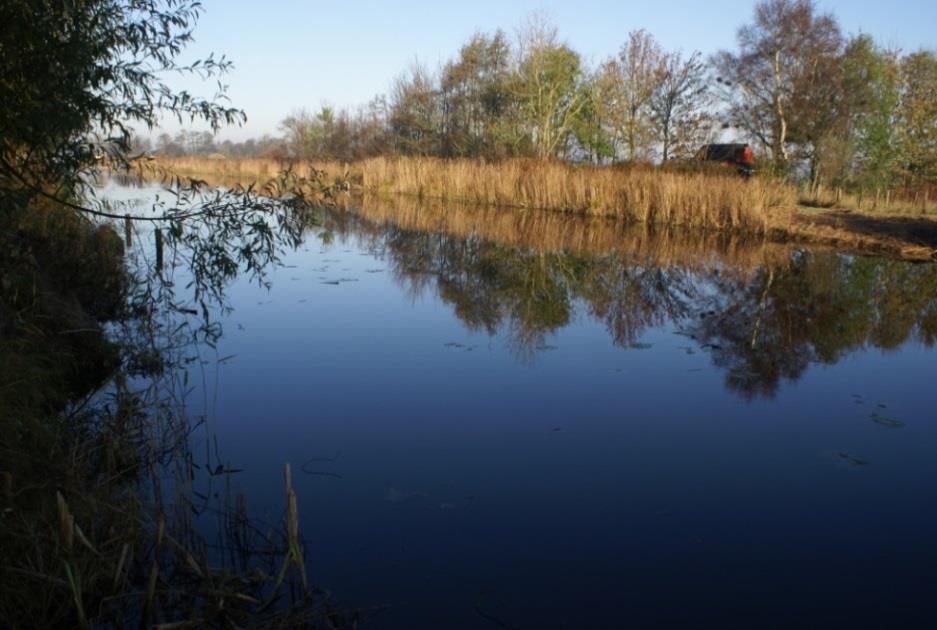 In deze wateren worden veel algemene macrofauna soorten aangetroffen. Deze watergangen zijn aangelegd voor scheepvaart en/of water aan- en afvoer.