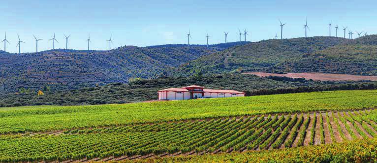 Daarnaast beschikt El Coto over ruim 700 hectare eigen wijngaarden verdeeld over zeven verschillende locaties, waardoor men in staat is om een optimale diversiteit aan druivenaanbod te krijgen.