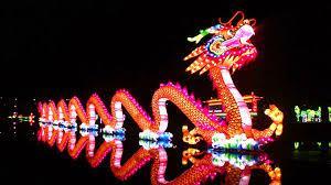 Zaterdag 12 januari China light Zoo + Playground Laat je betoveren door een magisch lichtspektakel in de zoo van Antwerpen met een leuke afsluiter in een