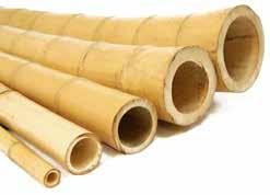 Hierdoor is bamboe een zeer verantwoord product. Bamboe heeft een zeer lange levensduur.