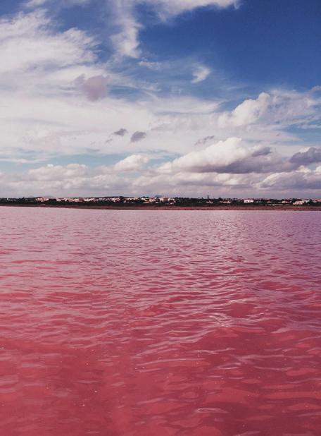 LAS SALINAS De Spaanse havenstad Torrevieja staat voornamelijk bekend voor zijn roze zoutmeer. Tot halverwege de 20 e eeuw was zoutwinning de belangrijkste inkomstenbron van de stad.