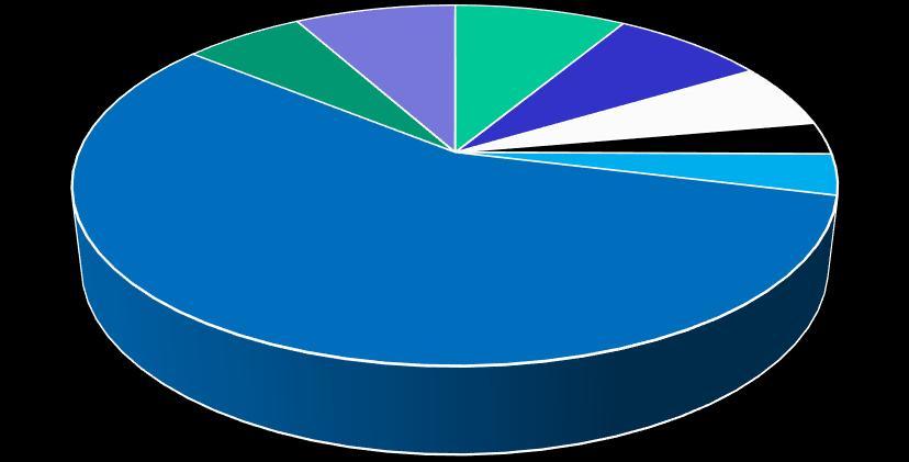 Frituur: 8% Hygiëne van lokalen en personen: 40% Andere: 6% Pita: 3% 40%