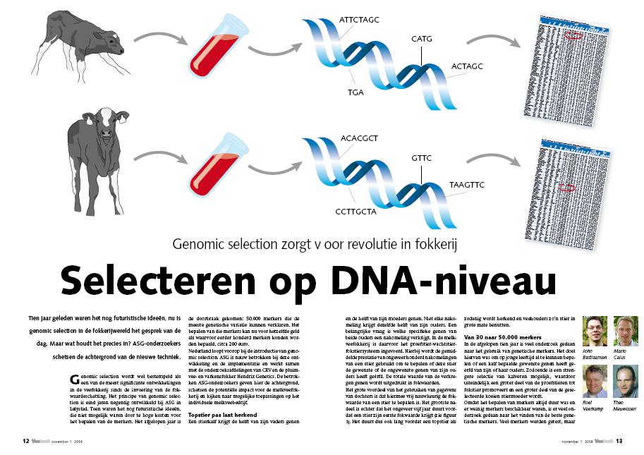 Genomic selection; hoe werkt t? Bron: M.P.L. Calus, J.W.M. Bastiaansen, T.