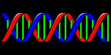 Verzamelen DNA