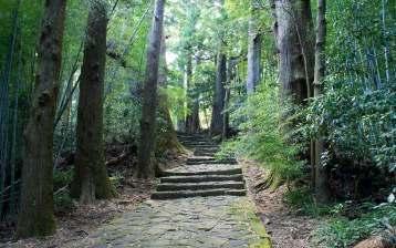 KUMANO KODO Kumano Kodo is van oorsprong een oude pelgrimsroute.