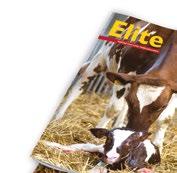 Vakblad voor échte melkveehouders Mediagids 2019 Bladformule Samen met buitenlandse specialisten zoekt het Nederlandse redactieteam naar kennis waarmee uw bedrijf zijn voordeel kan doen.