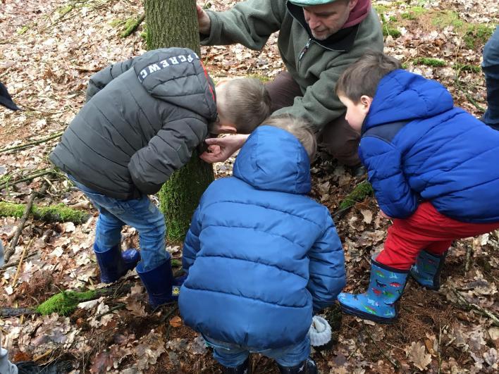 Welkom op deze sporenroute! Dieren laten zich niet snel zien in het bos. Maar ze laten wel hun sporen achter! Denk aan uilenballen, knaagsporen, holen, prooien en pootafdrukken.