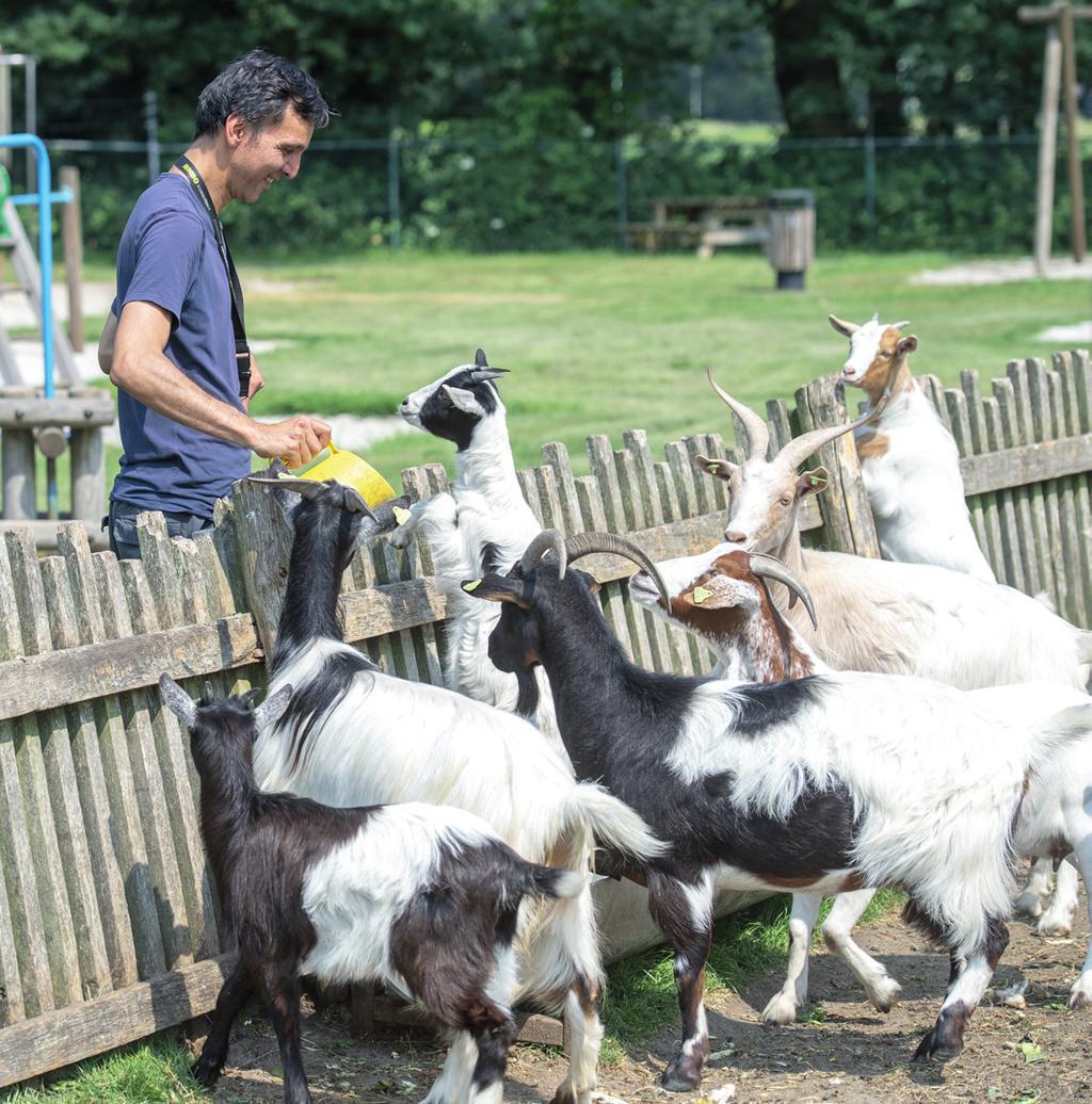 Wie is Cosis? Cosis biedt hulp aan jongeren, volwassenen en ouderen met een verstandelijke beperking. Dit doen we in Groningen en Drenthe. We helpen jou om grip op het leven te krijgen en te behouden.