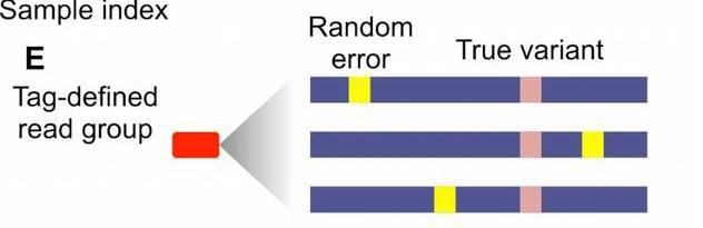 Random nucleotide tags - Error-correctie