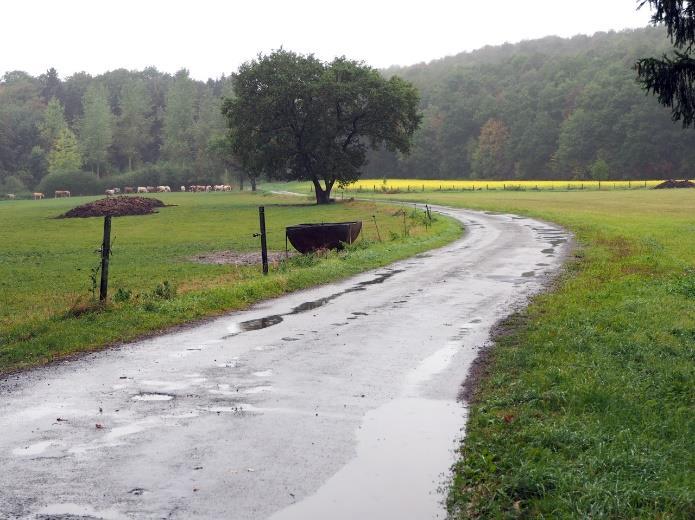 Als we in het bos aankomen, krijgen we een stijging voor de kiezen. Steeds maar rechtdoor gaat het flink omhoog, maar op het hoogste punt worden we dan ook beloond met een erg mooi vergezicht.