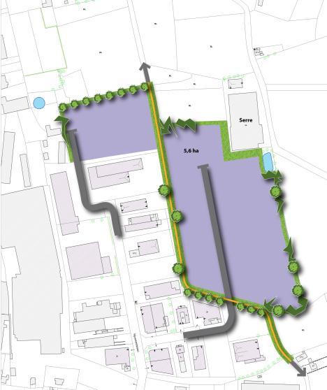 De gemeente Ledegem beschikt zowel over een structuurondersteunend hoofddorp (Ledegem) als een herlocalisatiehoofddorp (Sint-Eloois-winkel).