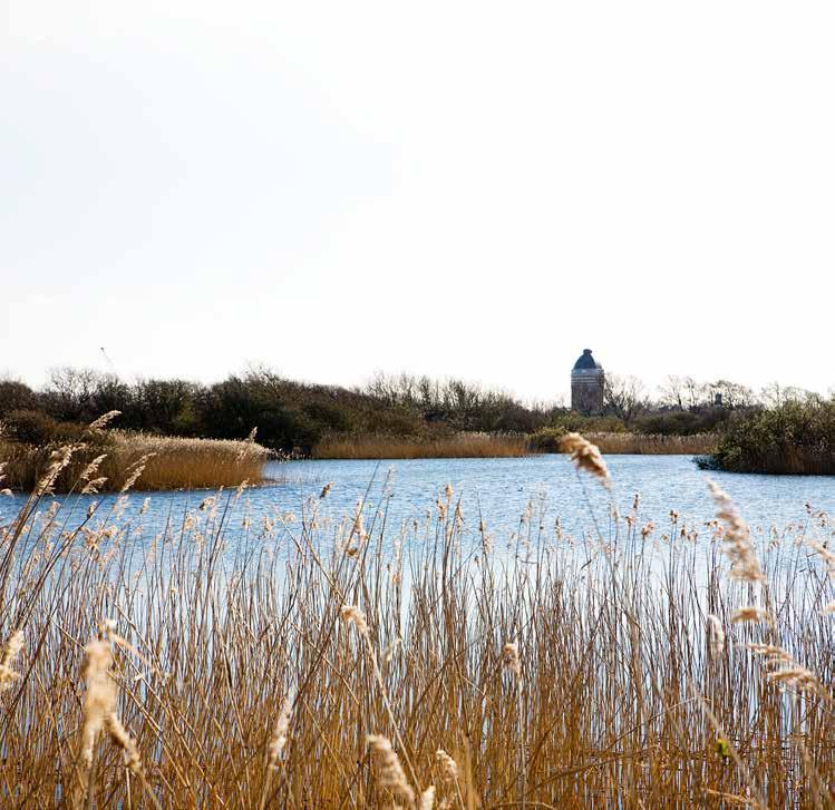 Werkzaamheden in Meijendel en Berkheide van