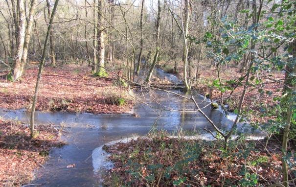 De gemiddeld laagste grondwaterstand ligt dieper dan 120 cm beneden het maaiveld. De grondwaterstanden De grondwaterstand varieerde op 29/30 maart 2009 tussen 2.15 en 4.