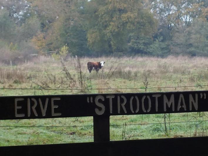4 Strootman / grens vliegveld Strootman Tijdens de Duitse bezetting werd het gebied van het vliegveld door de Duitsers uitgebreid en diverse boerderijen, waaronder die van Strootman, moesten daarvoor