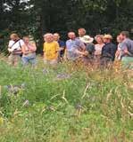 plannenmakers, bestekschrijvers en ecologen. WAT LEERT U Wat is een bloemenweide, hoe werkt een bloemenweide? Voorbereidingen & onderzoek. De aanleg en het beheer van een bloemenweide.