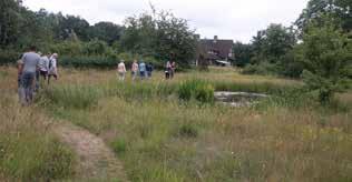 flora en fauna waarin oude landschapselementen een belangrijke rol