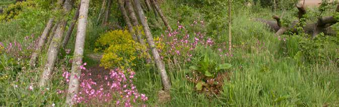 TOEPASSINGSMOGELIJKHEDEN WildeWeeldeWereld in de Tuinen van Appeltern. OPENBAAR GROEN Onze wildeplantenzaden en bloemenweidemengsels zijn vooral bedoeld voor de toepassing in het openbaar groen.
