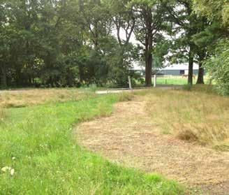 BLOEMRIJK GRASLAND Bij een gefaseerd maaibeheer maait u bijvoorbeeld op drie momenten in het jaar, steeds een ander deel.