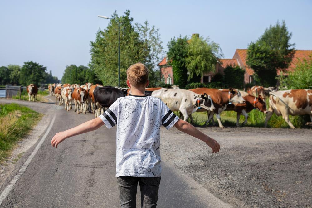 Met dit kapitaal kopen we grond aan om vervolgens uit te geven aan boeren die natuurinclusief willen werken.