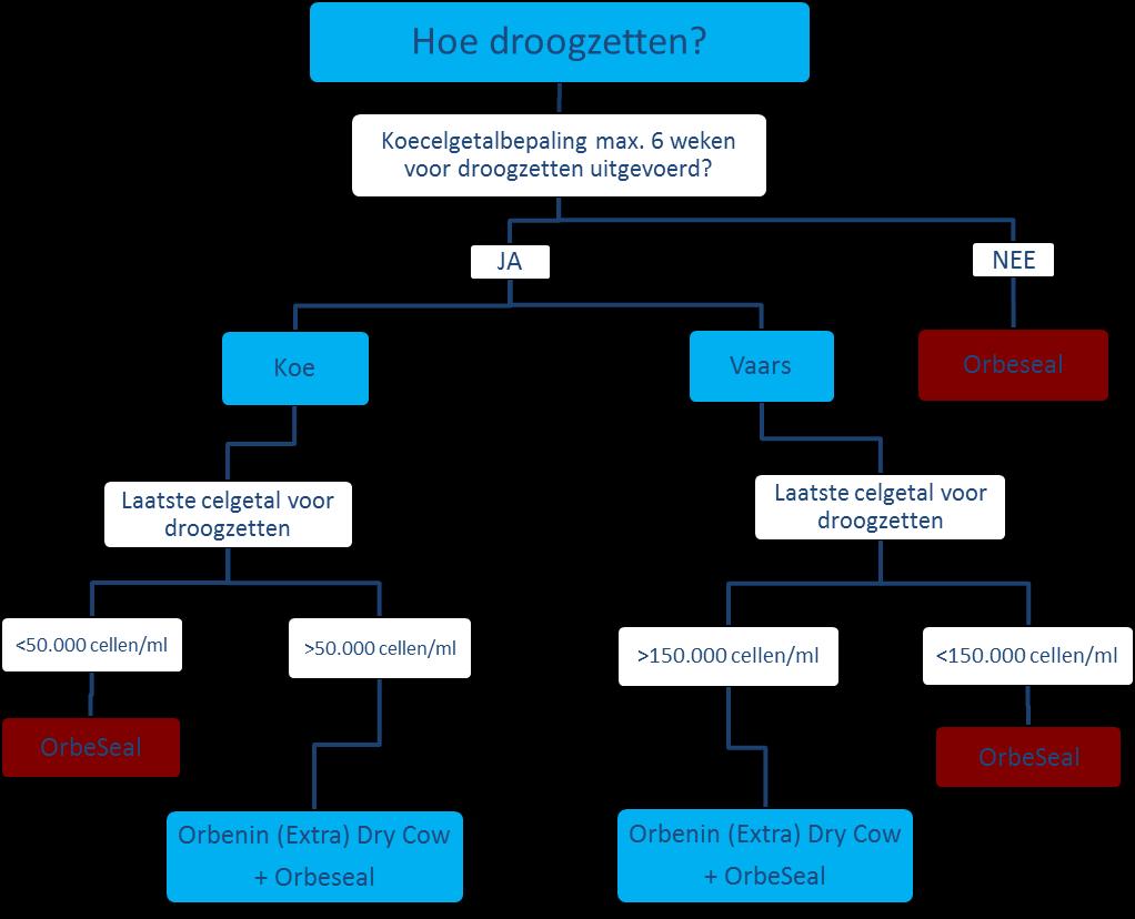 Stroomschema droogzetten Genomen managementmaatregelen rondom droogzetten o Koeien worden groepsgewijs drooggezet o De krachtvoergift wordt afgebouwd o Er wordt bekapt voor droogzetten o Als laatste