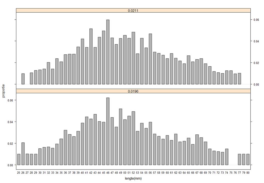 Op basis van de zelfbemonsteringsdata was de gemiddelde lengte van de garnaal 49.4 mm (19.6 mm net) en 49.1 mm (21.1 mm net).