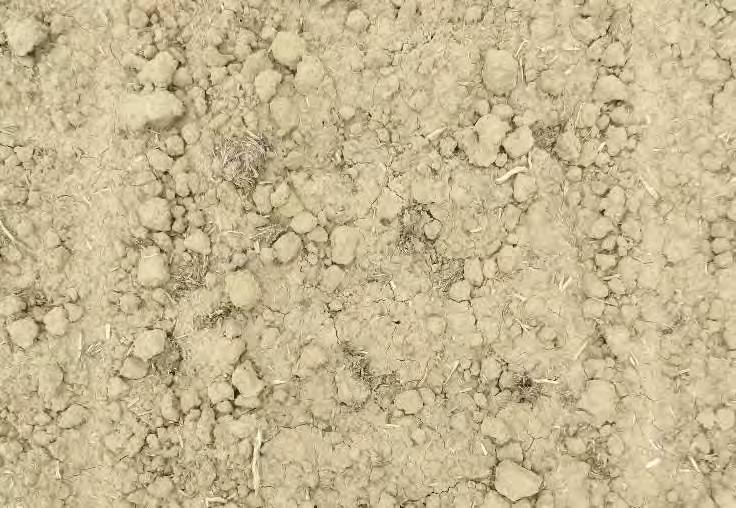 verzameld. Buiten de bandensporen was op ongeveer 5 cm van alle maïszaailijnen een erosiegeul (paarse peilen) zichtbaar.