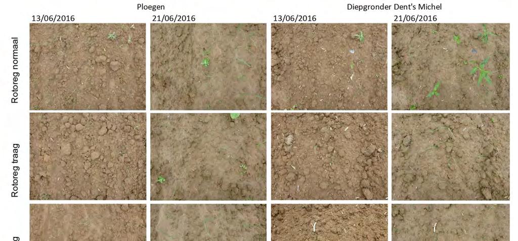 Figuur 140: Foto s van de ruwheid van het kiembed bij beoordeling op 13 juni en 21 juni 2016 Bij de visuele beoordeling van erosie op 28 juni en 5 juli 2016