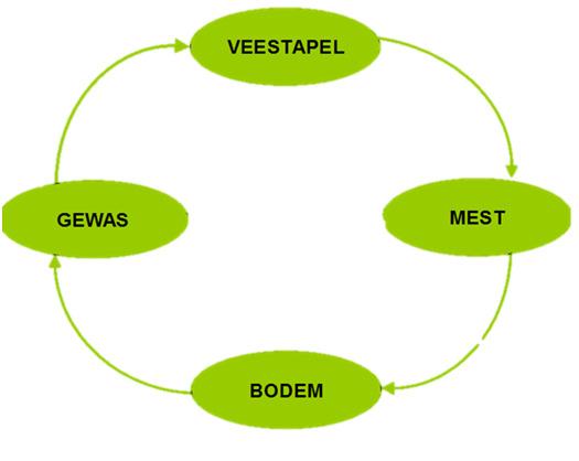 mestsamenstelling is voor handen Welke waardes