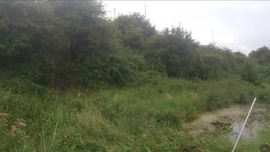 In oostelijke richting wordt het plangebied begrenst door het viaduct over de waterloop De Schinkel. Figuur 3.