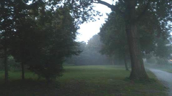 Westelijk van de Weespertrekvaart is het talud sterk begroeid, deels met struiken en deels met grotere bomen.