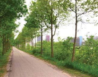 Het maken van landwegen van alle wegen buiten de clusters, versterkt het landschap en geeft de bezoeker het gevoel buiten de stad te zijn.