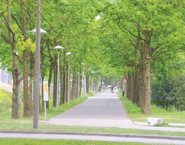 Een verbinding wordt gelegd tussen het rijke verleden van De Uithof en de stad, landgoederen en Nieuwe Hollandse Waterlinie: de Dom, Oostbroek, Amelisweerd, Werk aan de Hoofddijk en Fort Rhijnauwen