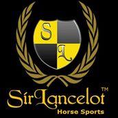 0485-490700 Sir Lancelot Horse Sports