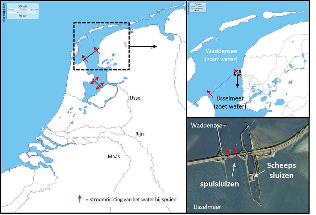 4 Methoden 4.1 Studiegebied De monitoring in deze studie vindt plaats bij Kornwerderzand; één van de twee spuicomplexen in de Afsluitdijk.