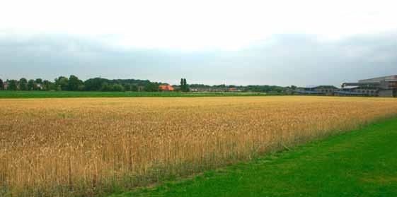Het plan voor de Rielerenk-Douwelerkolk moet er voor zorgen dat het oude cultuurlandschap dat nu nog nadrukkelijk aanwezig is, behouden blijft.