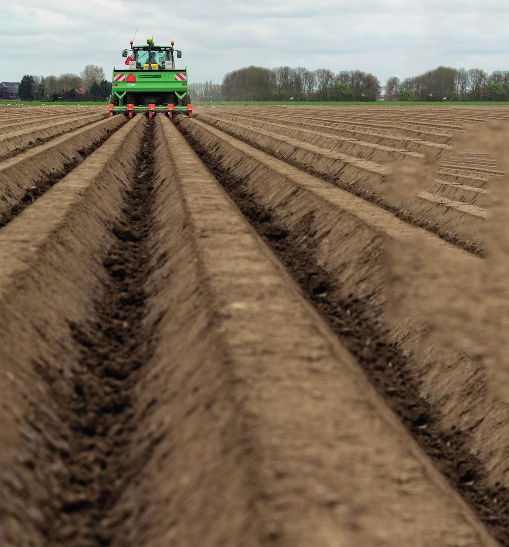 Tellen van knollen om plantafstand nader te bepalen Vang tijdens het lossen van uw pootgoed meerdere keren een volle emmer pootgoed op (liefst van de band) tot u 50 of 100kg pootgoed hebt.