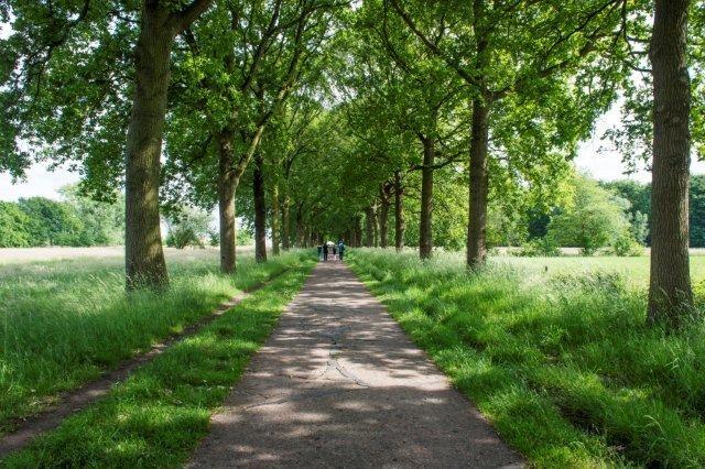 broedvogelinventarisatie uitgevoerd voor de aanwezigheid van deze doelsoorten. Ook de andere waargenomen vogelsoorten werden genoteerd.