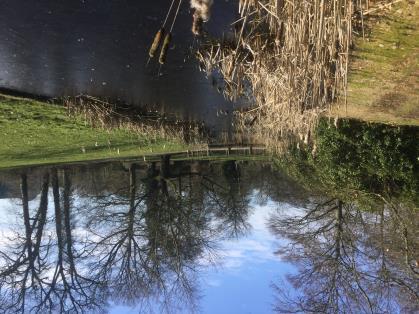 2 1. Vanaf de Driebergseweg loopt de route eerst in de richting van het dorpscentrum en vervolgens rechts naar de ingang van de buitenplaats Hoog Beek en Royen.